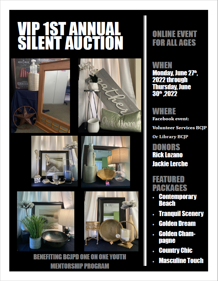 Volunteers In Probation Silent Auction